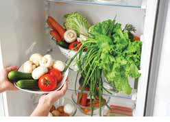 حفظ المنتج (الفطر) مبردا